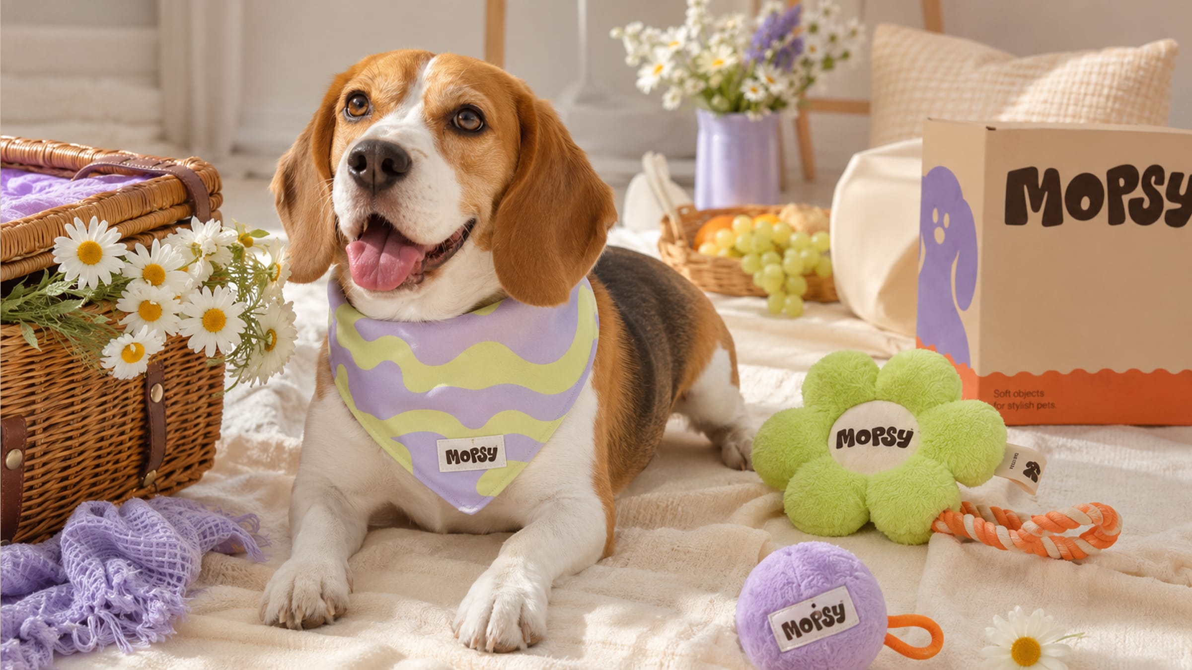 Mopsy products styled in a set.